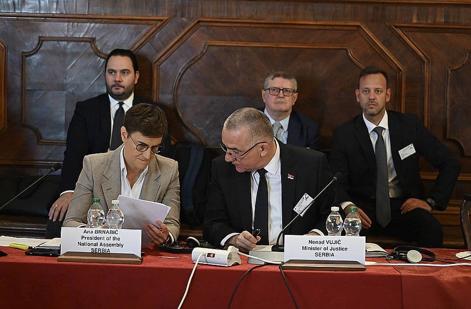 Ana Brnabic на заседании Venecijanska komisija